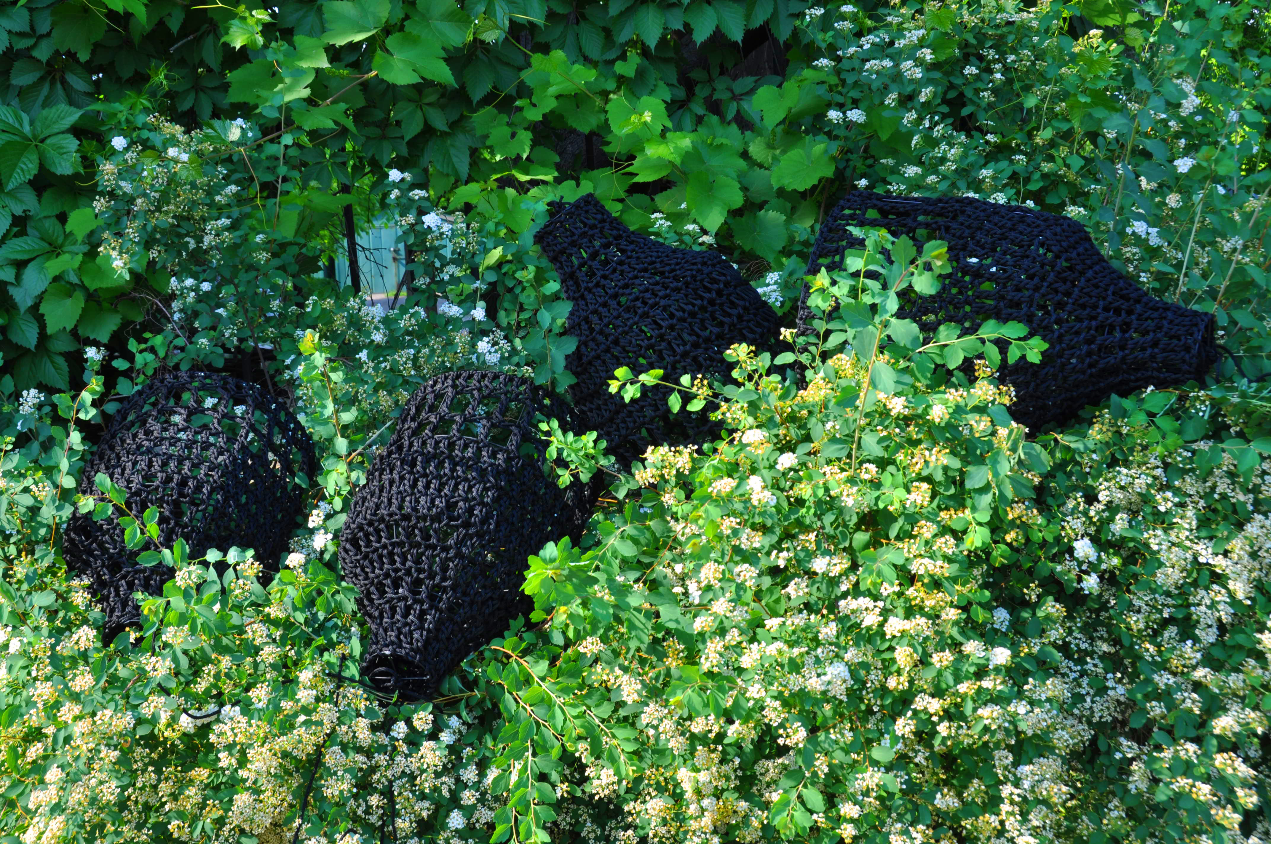 The black decorkuznetsov 